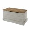 Corona Grey Pine Storage Trunk