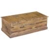 Jali Sheesham Trunk Chest Coffee Table