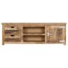 TV Cabinet 120x30x40 cm Solid Mango Wood