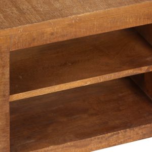 TV Cabinet 120x40x30 cm Solid Mango Wood