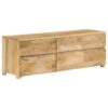 TV Cabinet Solid Mango Wood 120x30x40 cm