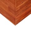 Garden Planter Acacia Wood 200x100x100 cm