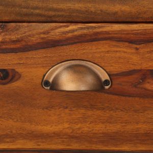 Vitrine Cabinet Solid Sheesham Wood 100x70x200 cm