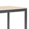 Computer Desk Black and Oak 120x60x73 cm