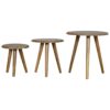 IN142 - Nordic Style Stool Set of 3-