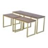 Golden Frame Long John Nest Of 3 Tables With Wooden Top